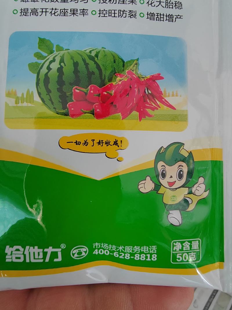 瓜果宝宝套餐，雌雄花数量均匀。授粉座果。花大胎稳，控旺