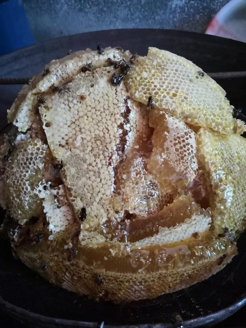 野生蜂蜜质量保障量大从优对接全国欢迎订购