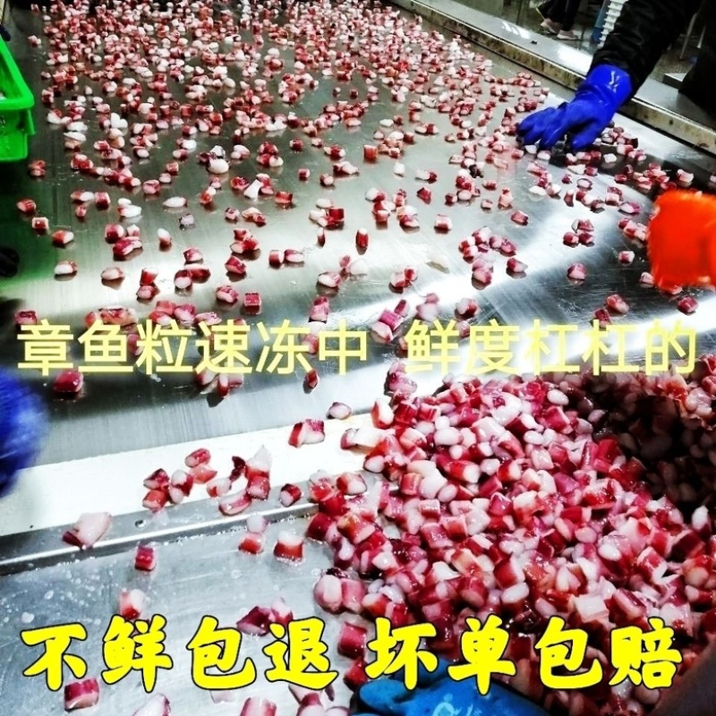 章鱼粒无冰新鲜鱿鱼粒章鱼丁捞汁食材章鱼足章鱼须粒