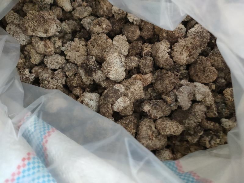核桃菌玛卡菌羊肚耳，沙耳，榆耳，灵芝菌，食用菌干货供
