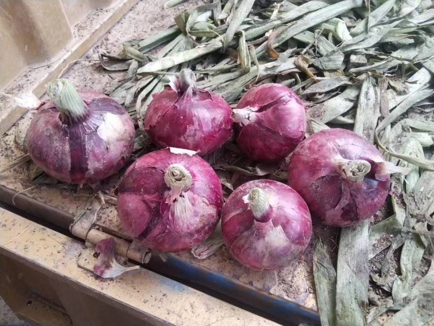 紫洋葱在菜篮中摆放整齐，色泽鲜艳