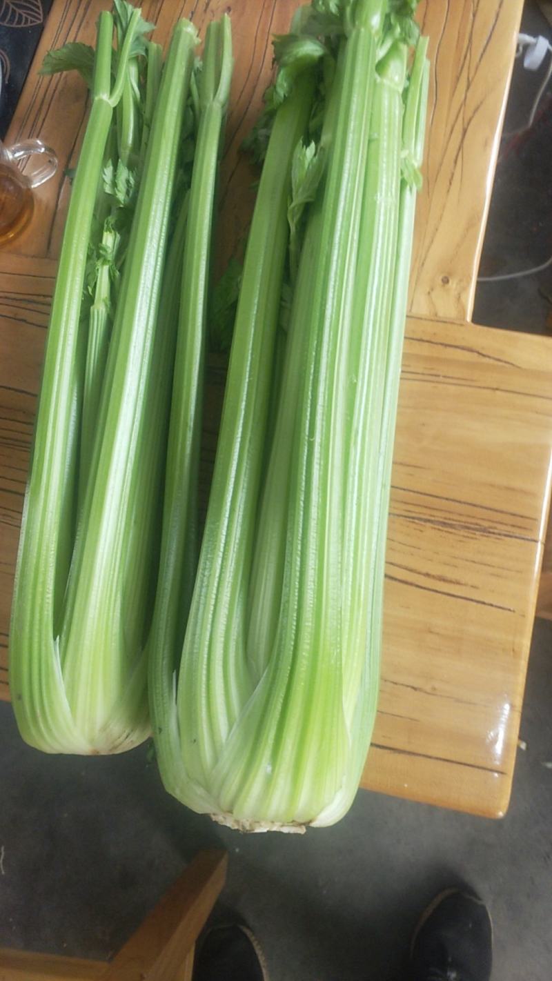 精品西芹产地直供，提前预定。现砍入库打冷装货。