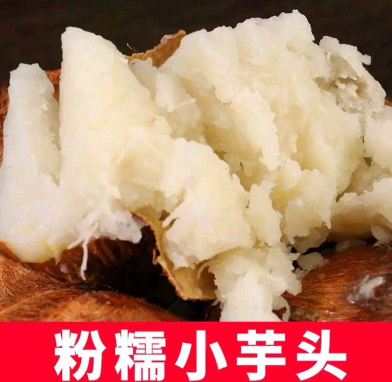 8520毛芋头口感软糯价格合理产地直发、全年供应
