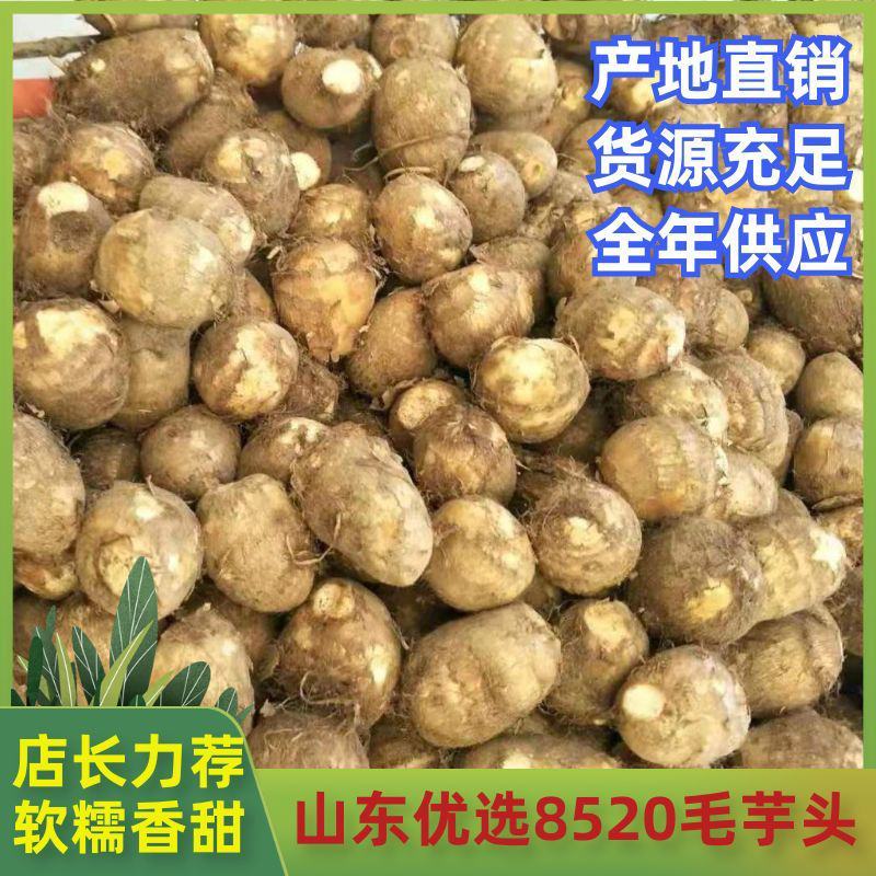 8520毛芋头口感软糯价格合理产地直发、全年供应