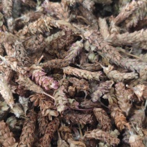 夏枯球欢迎电话咨询