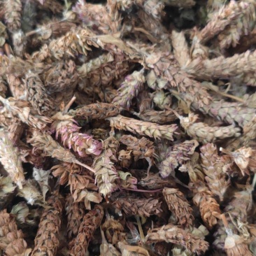 夏枯球欢迎电话咨询