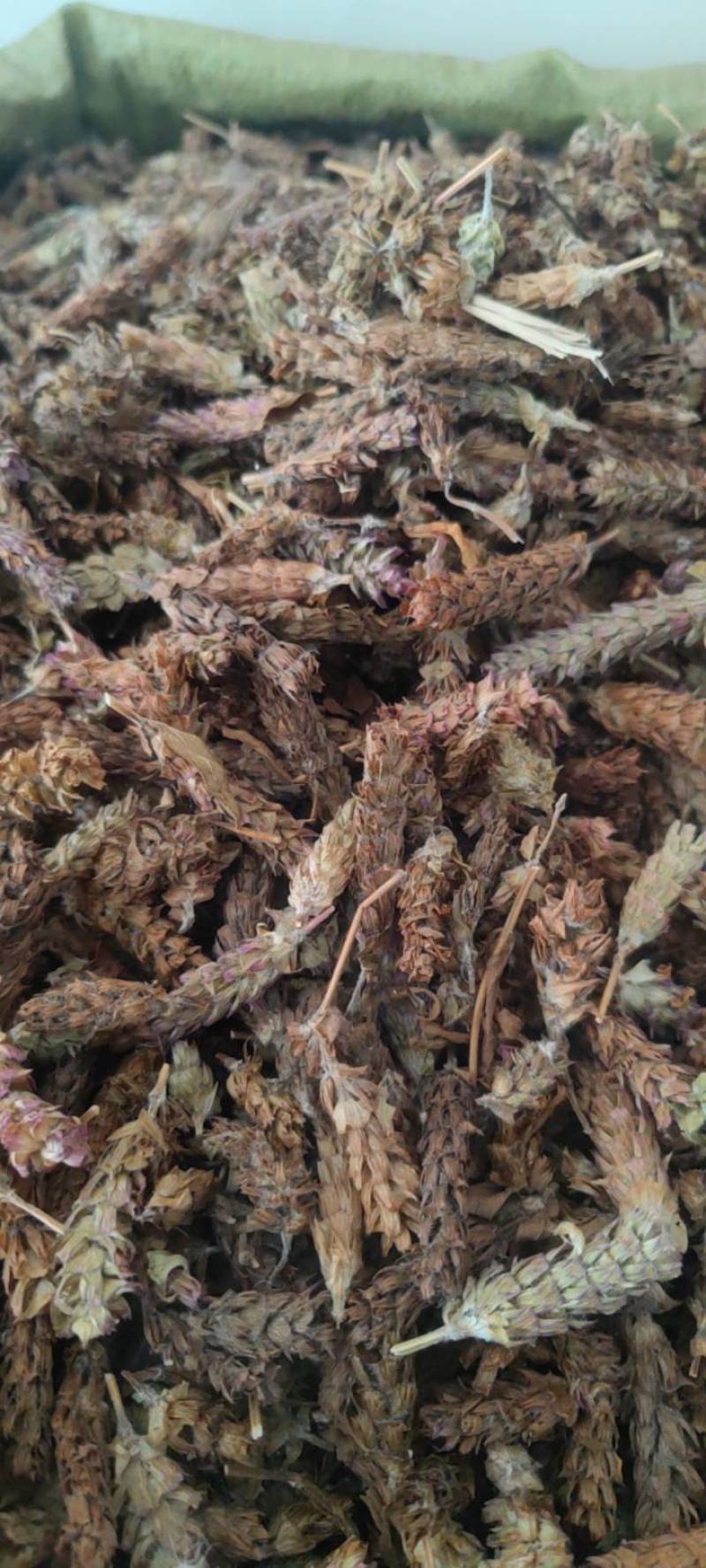 夏枯球欢迎电话咨询