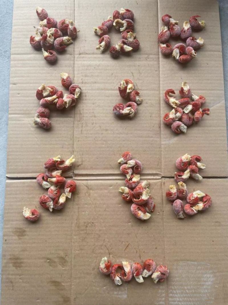 精品特级龙虾尾95粒左右