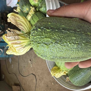 苹果丝瓜