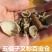 五倍子欢迎电话咨询