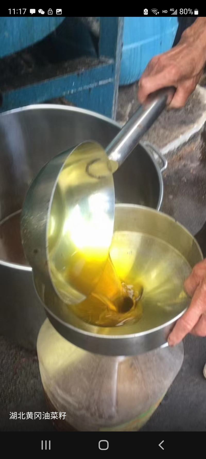 油菜籽