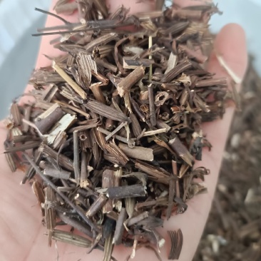 刘寄奴，野生穗多，正品无硫，道地药材，支持在线下单