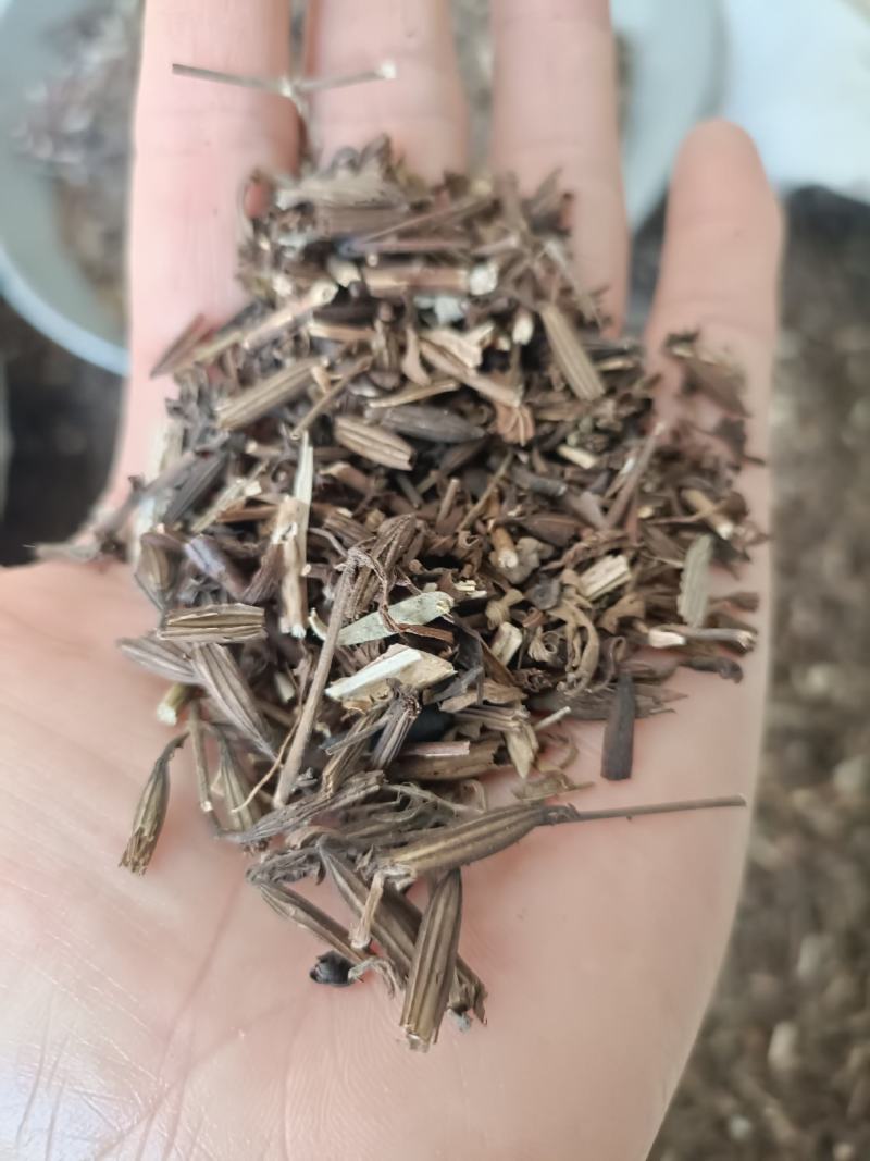 刘寄奴，野生穗多，正品无硫，道地药材，支持在线下单