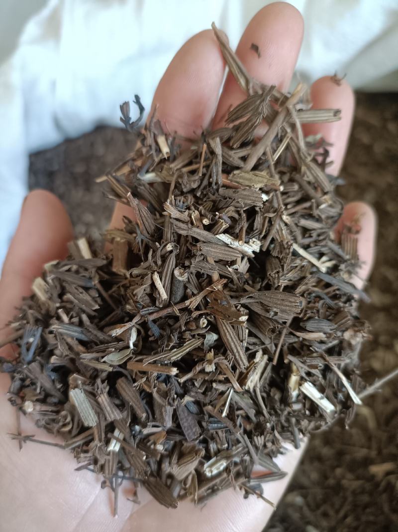 刘寄奴，野生穗多，正品无硫，道地药材，支持在线下单