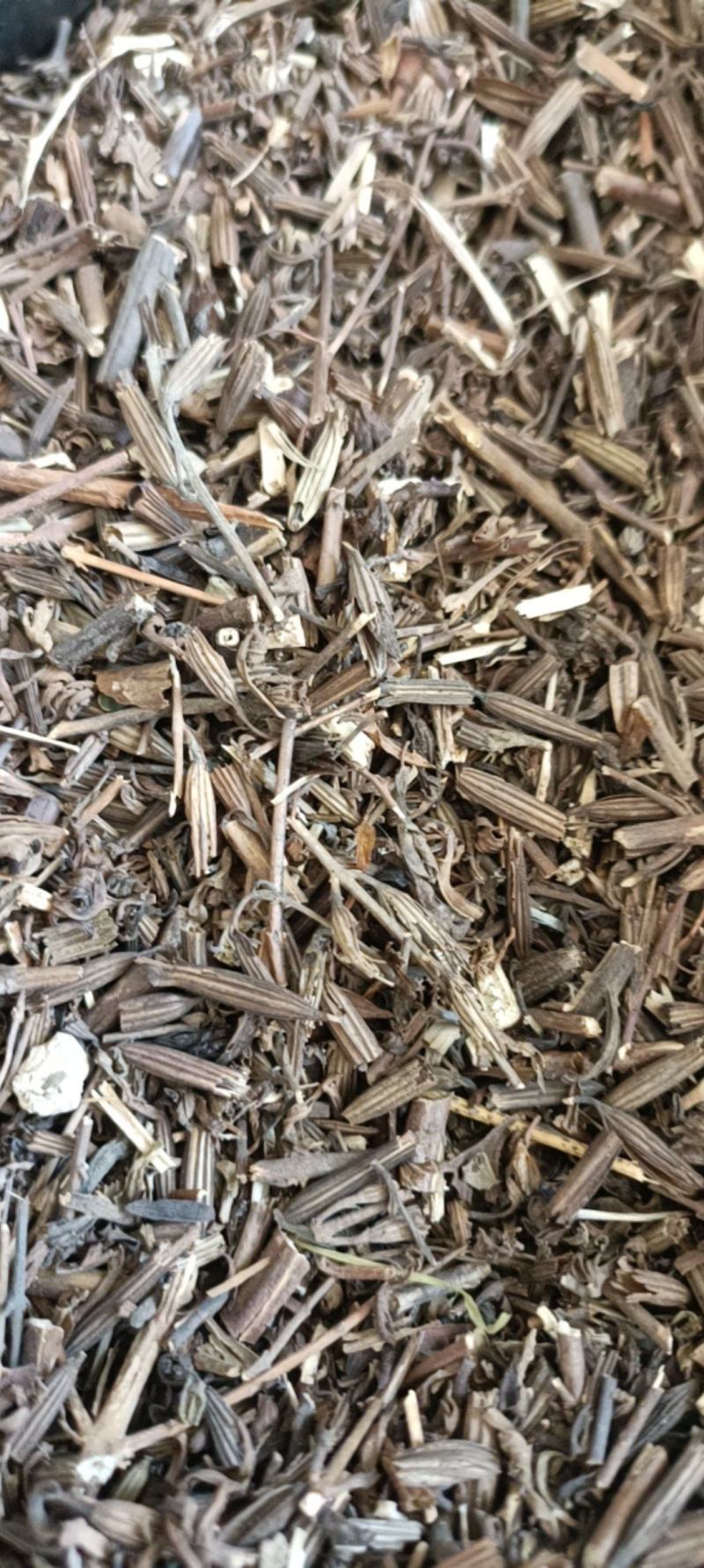 刘寄奴，野生穗多，正品无硫，道地药材，支持在线下单