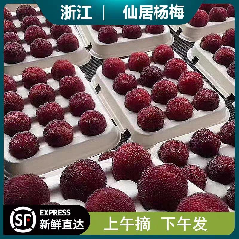 9A仙居东魁杨梅现摘现发6斤装时令水果