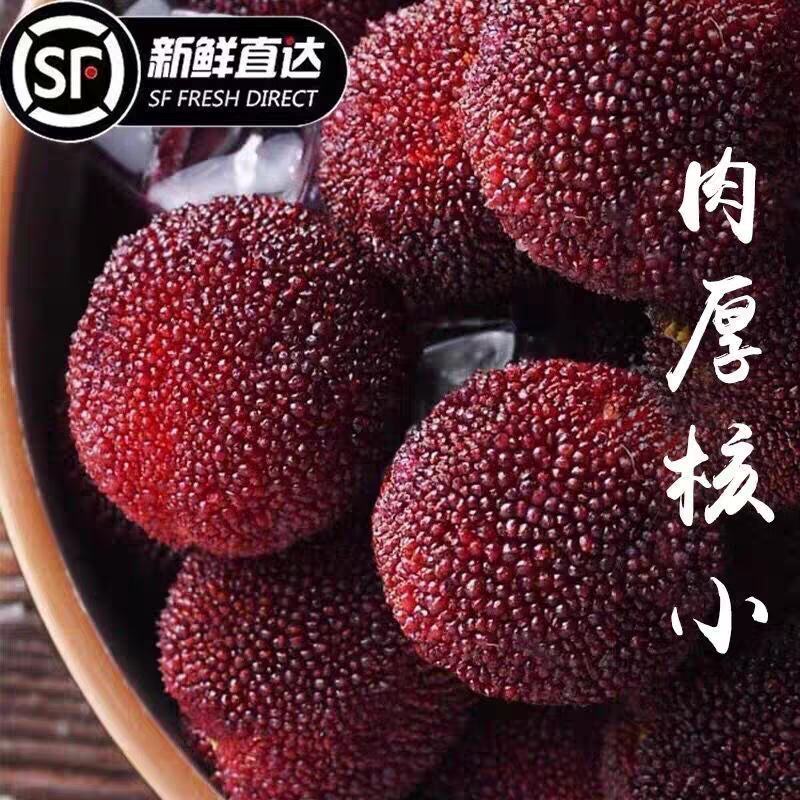 9A仙居东魁杨梅现摘现发6斤装时令水果