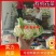 山西松华菜有机花实花新货上市青梗白面支持产地看货