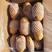 土豆沃土荷兰十五，一手货源保质保量，欢迎订购。