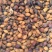 金樱子各种规格欢迎电话咨询