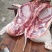 肉桂