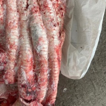 牛肺管