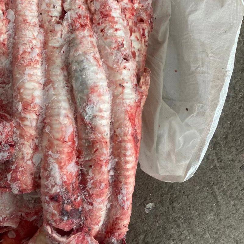 牛肺管