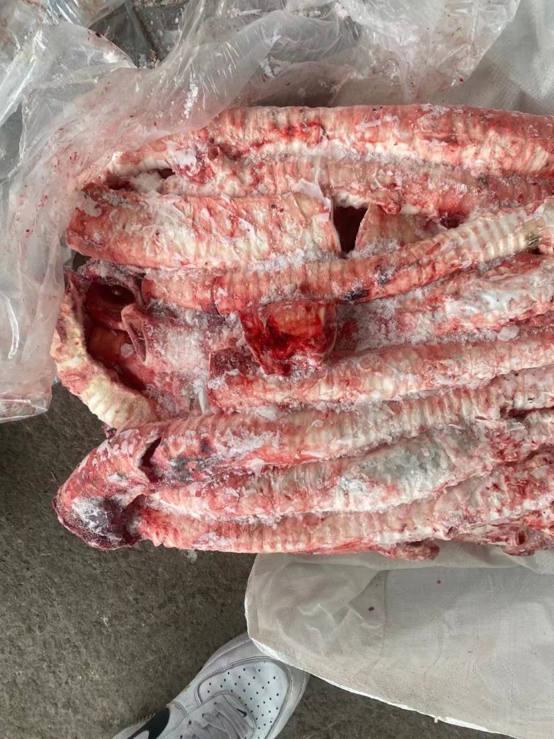 牛肺管