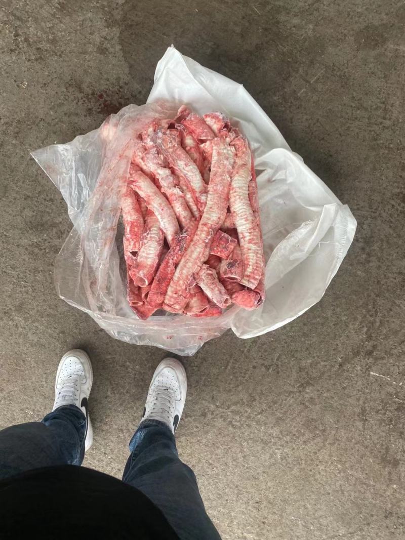 牛肺管