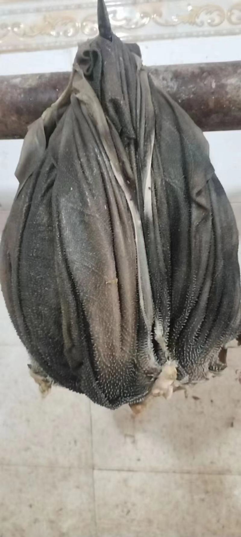 鲜百叶