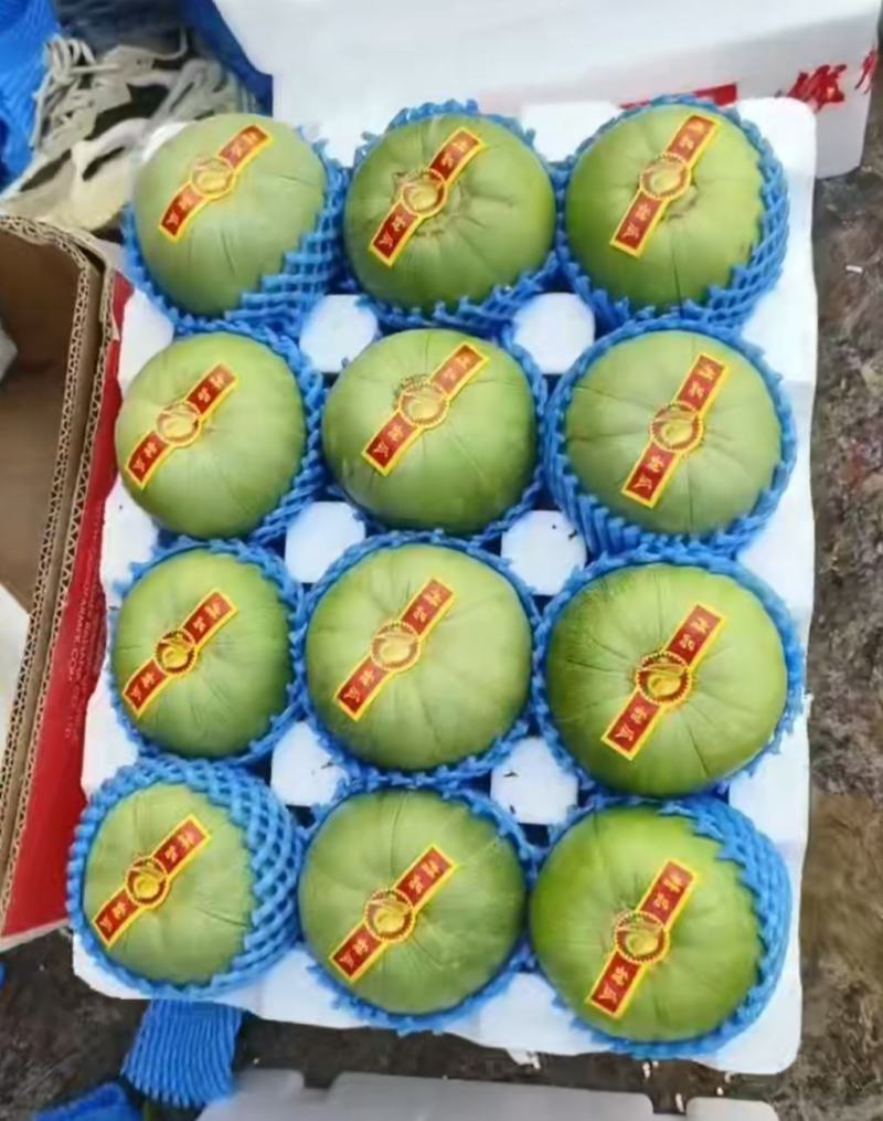 京密甜瓜产地直发黄白瓜全国一件代发现采现发