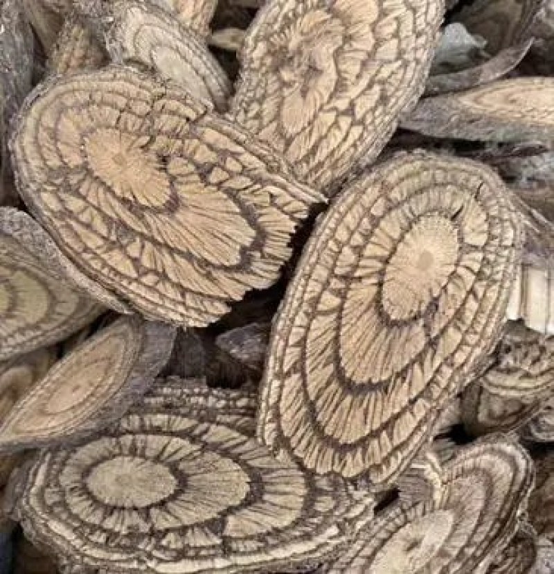 {麻骨风}买麻藤手工切片干货大量现货需要联系