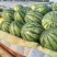 山东泗水精品甜王西瓜头茬货9成熟保熟包甜大小都有瓤口好全国接