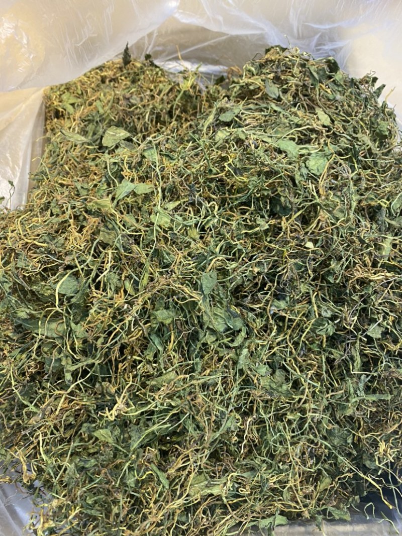 一支箭