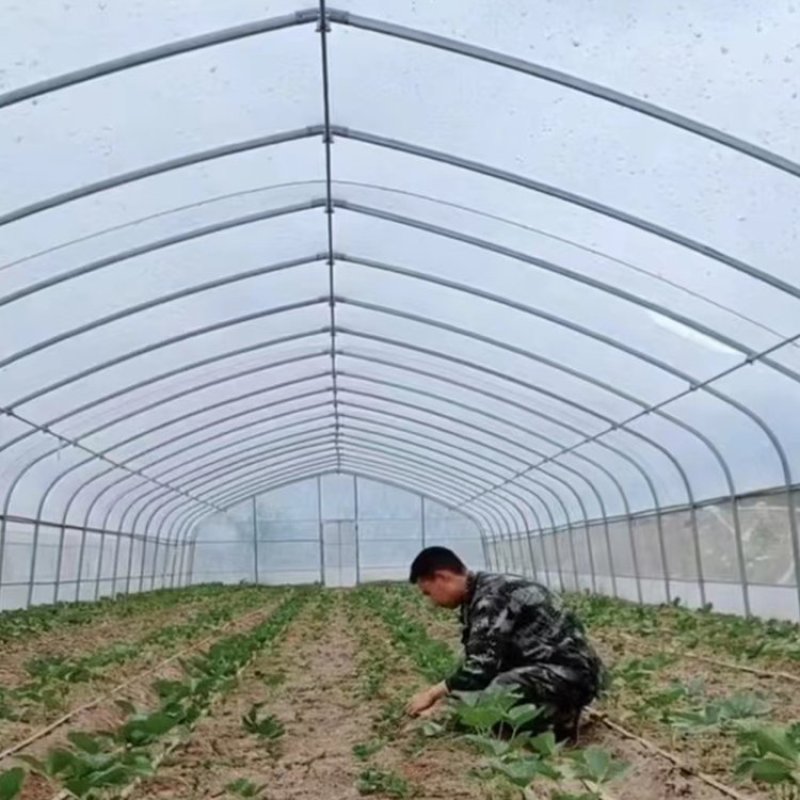 钢结构养鸡大棚保温隔热钢管建设温室蔬菜种植观光大棚