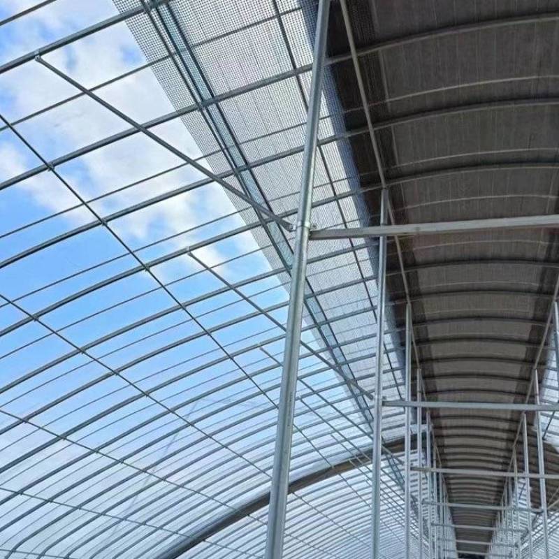 钢结构养鸡大棚保温隔热钢管建设温室蔬菜种植观光大棚