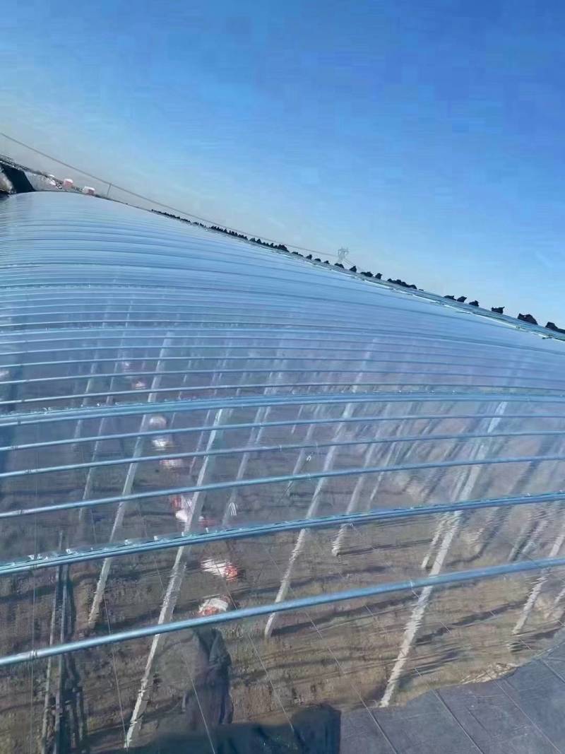 钢结构养鸡大棚保温隔热钢管建设温室蔬菜种植观光大棚