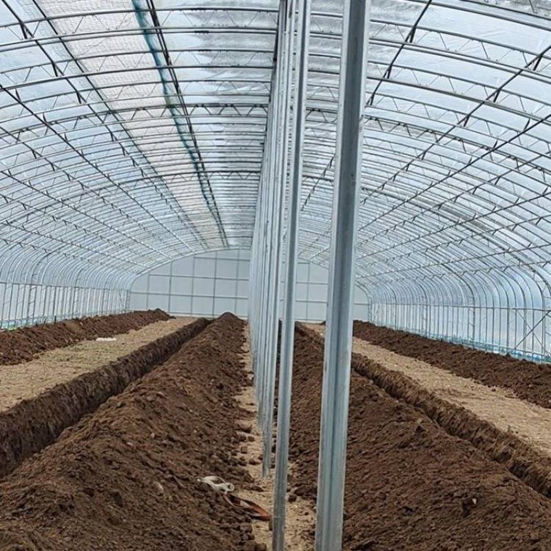 钢结构养鸡大棚保温隔热钢管建设温室蔬菜种植观光大棚