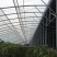 钢结构养鸡大棚保温隔热钢管建设温室蔬菜种植观光大棚