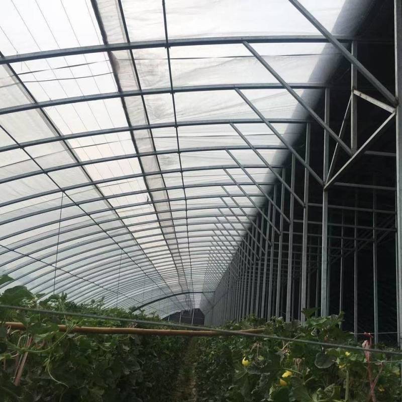 钢结构养鸡大棚保温隔热钢管建设温室蔬菜种植观光大棚