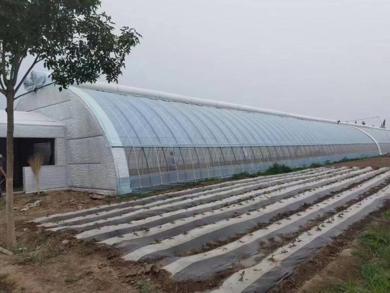 钢结构养鸡大棚保温隔热钢管建设温室蔬菜种植观光大棚