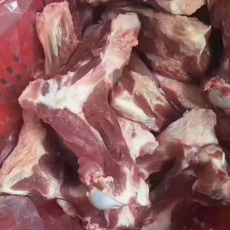郯润前腿骨