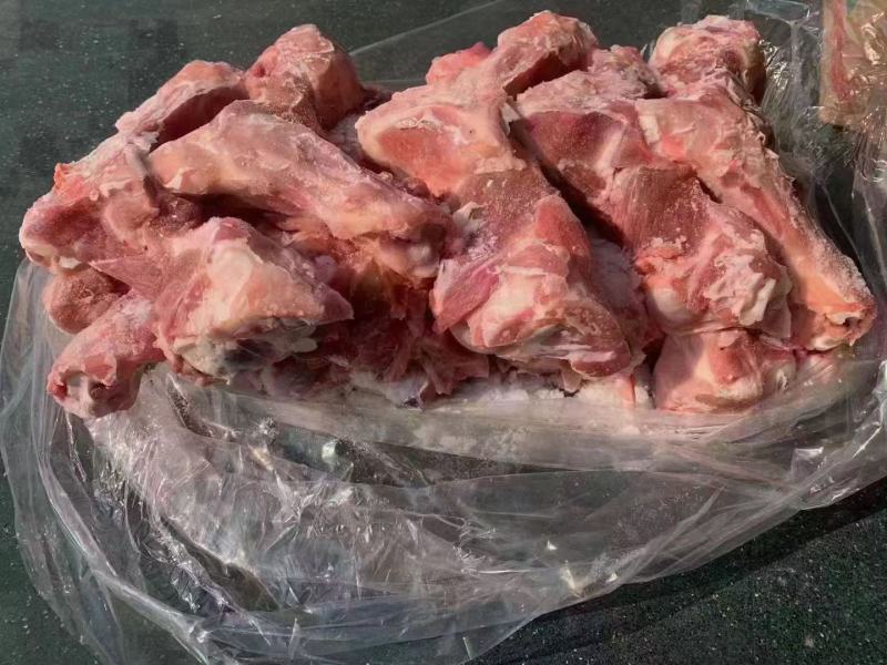 郯润前腿骨