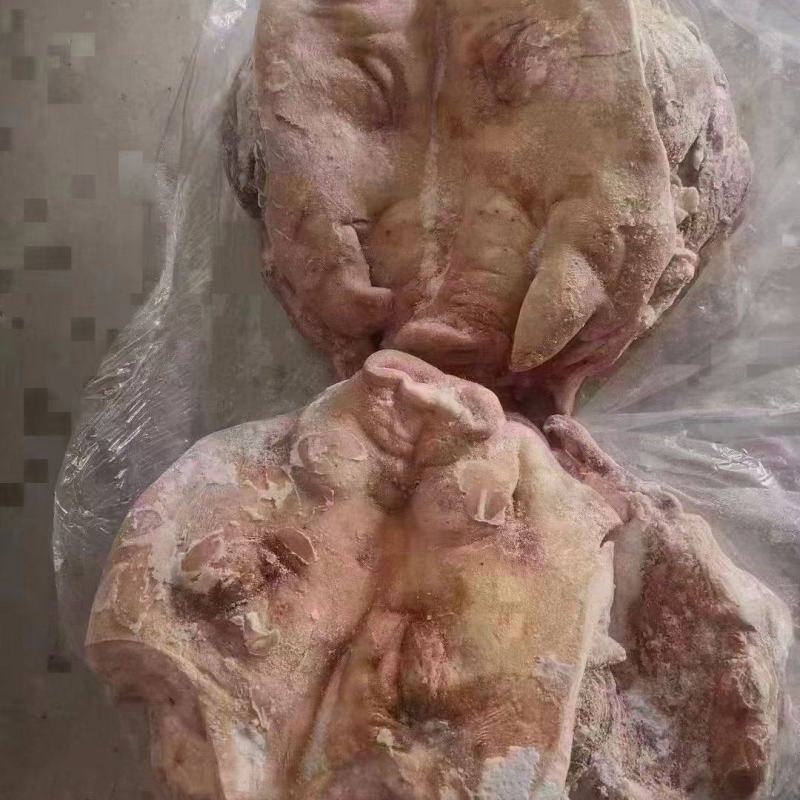 无耳猪头