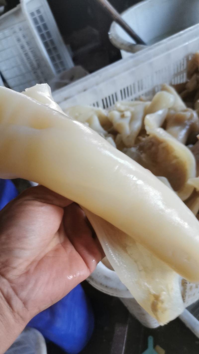 牛蹄皮，新鲜干净五毛，肉厚，厂家直发，量大从优