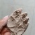 沸石粉