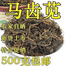 【新货】500克包邮马齿笕马齿菜中药材马齿笕纯干货