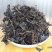 【新货】500克包邮马齿笕马齿菜中药材马齿笕纯干货