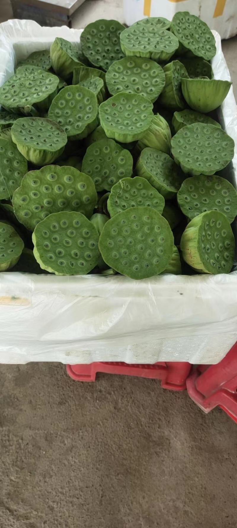 杭州鲜莲蓬大量发货全国各地都可发嫩莲蓬，水果莲蓬
