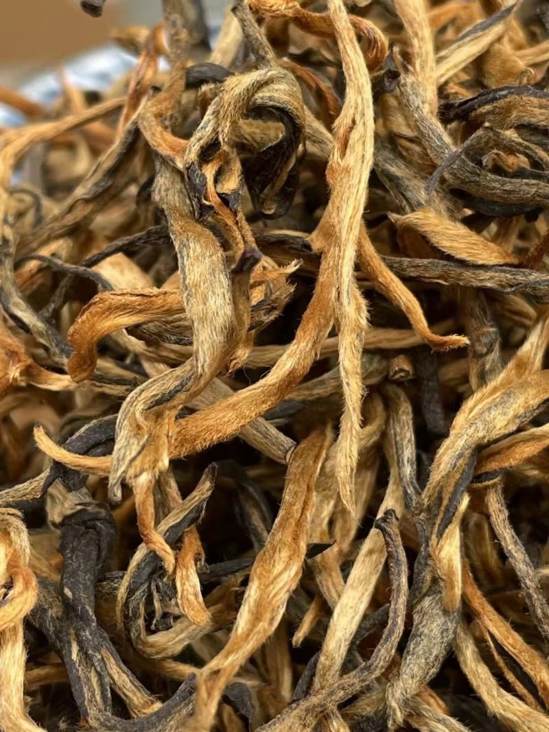 大树红茶金芽曲红云南滇红金芽500g包邮